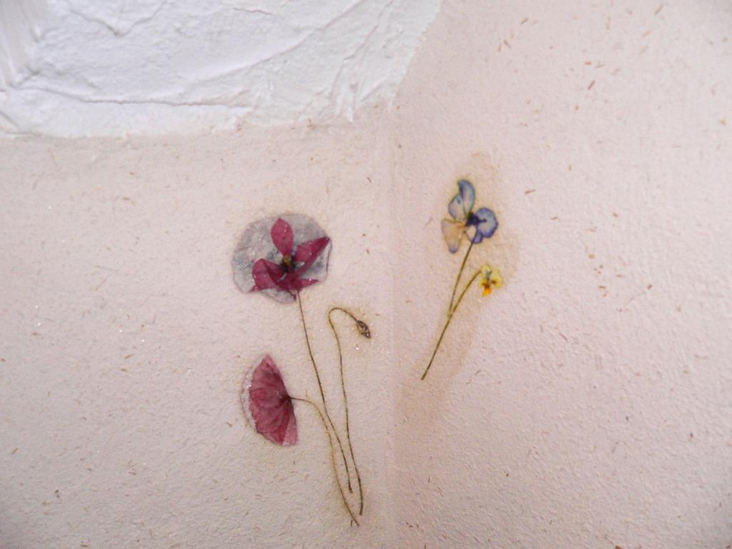 Chambres Et Gite "Pollen" Granier Bagian luar foto